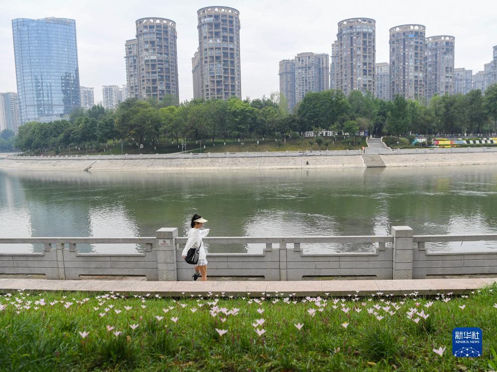 云顶夺宝技巧